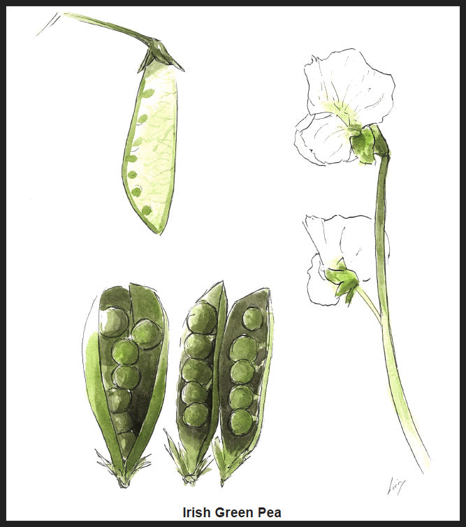 Peas