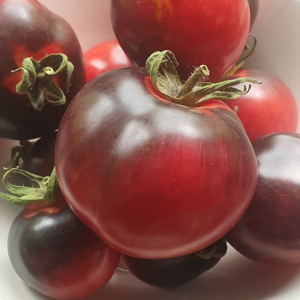 tomato-seeds-ireland