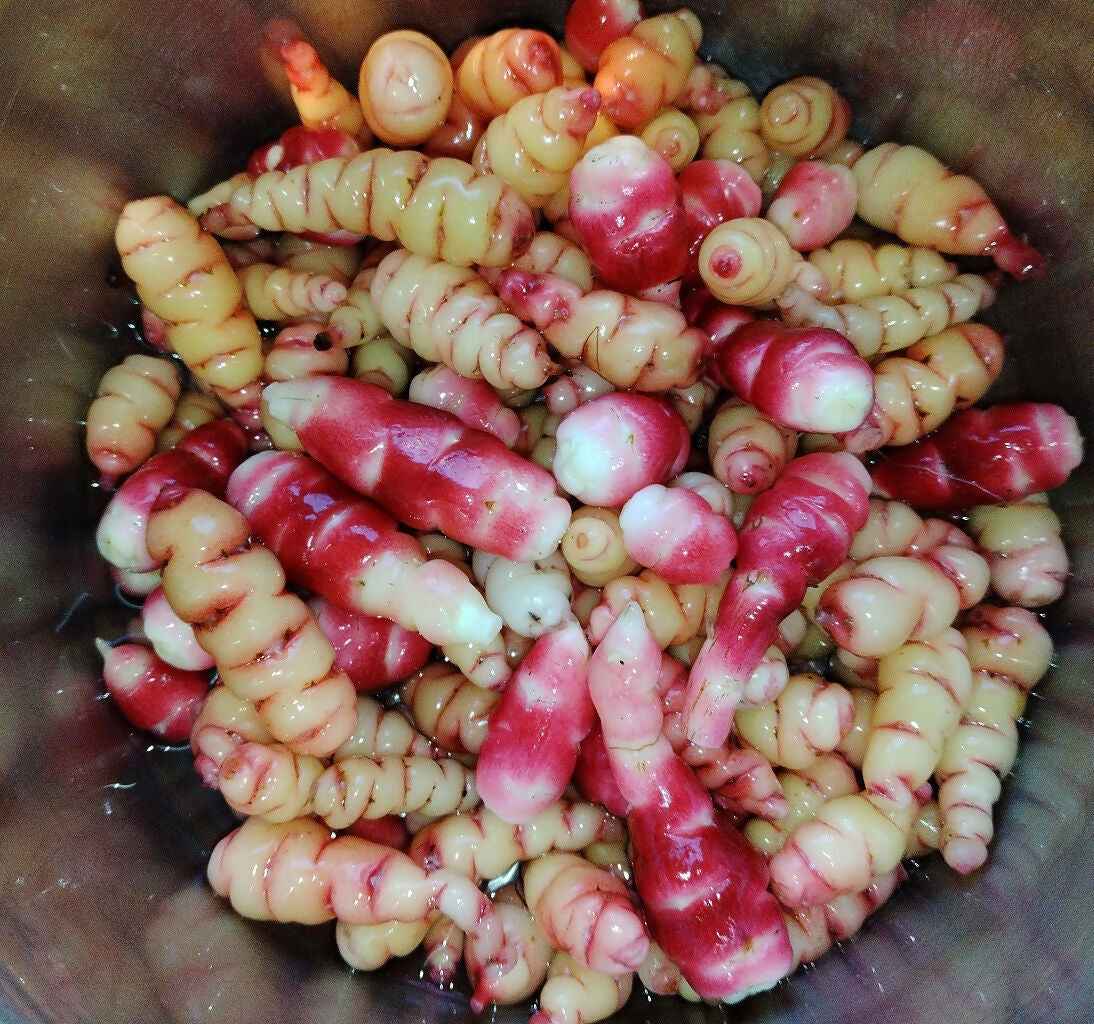 IMG_20241212_151134.mod3.1024.