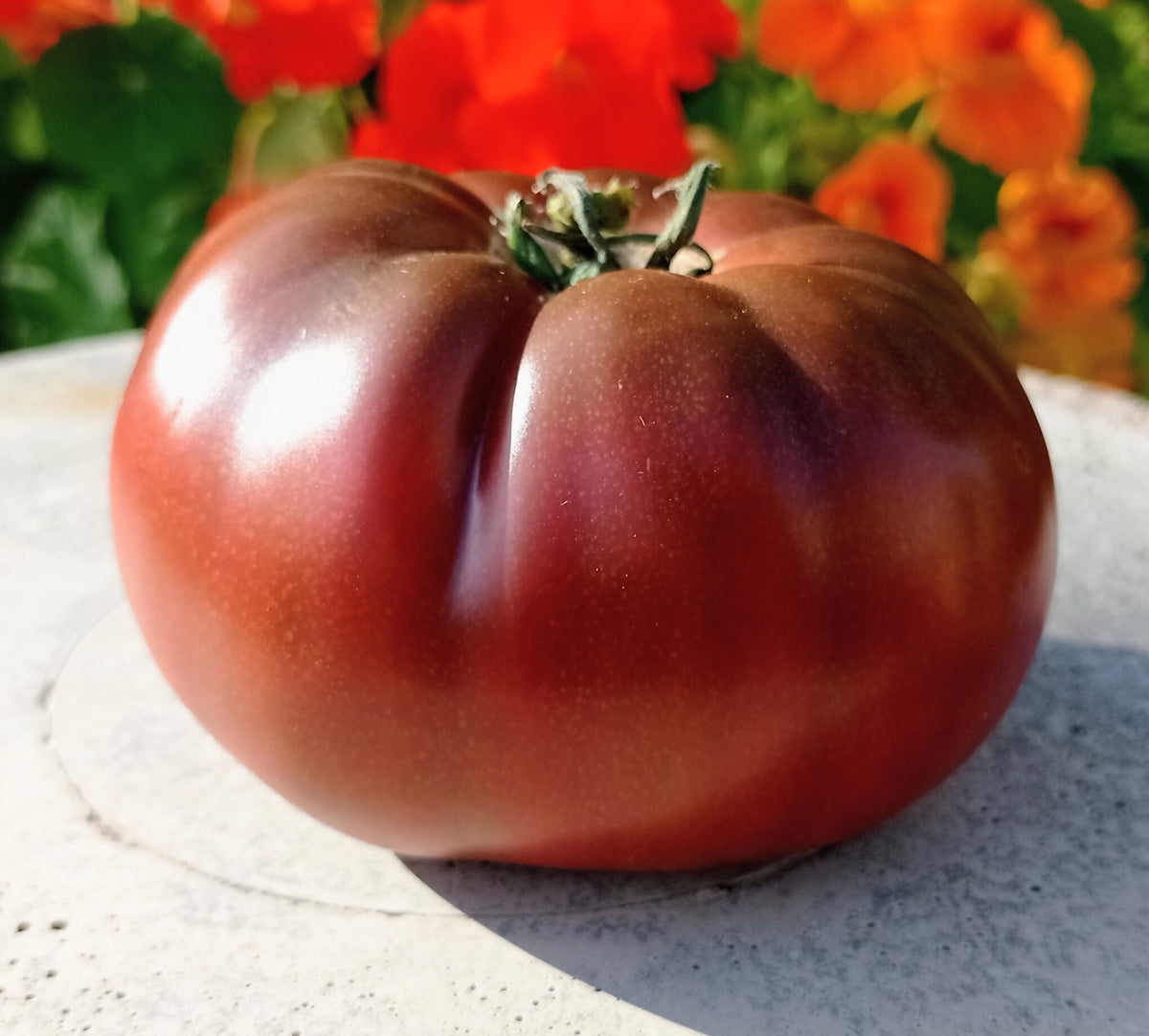 Tschernij Prinz Tomato