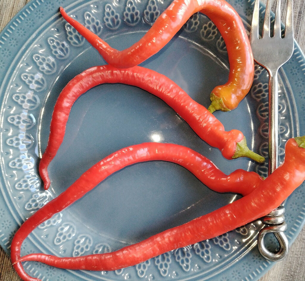 Siralis sweet (NOT CHILLI!) pepper