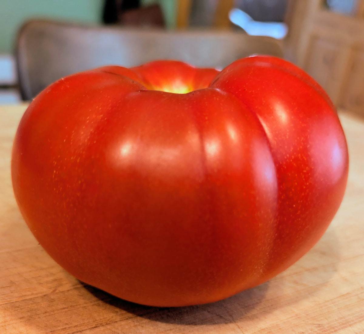 Berner Rose Tomato