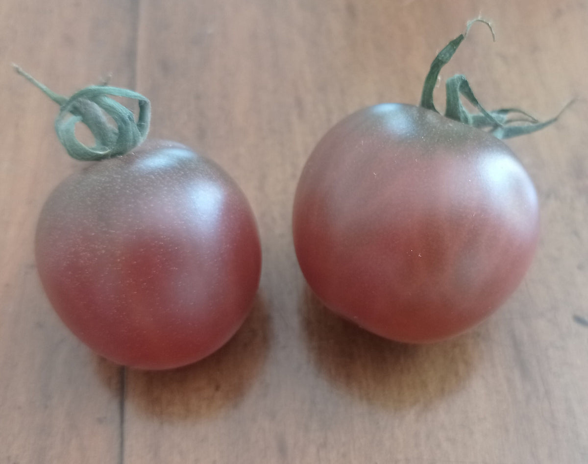Black Cherry Tomato