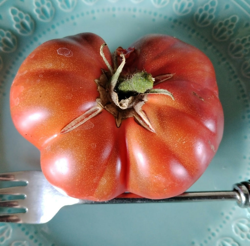 Black Krim Beefsteak Tomato