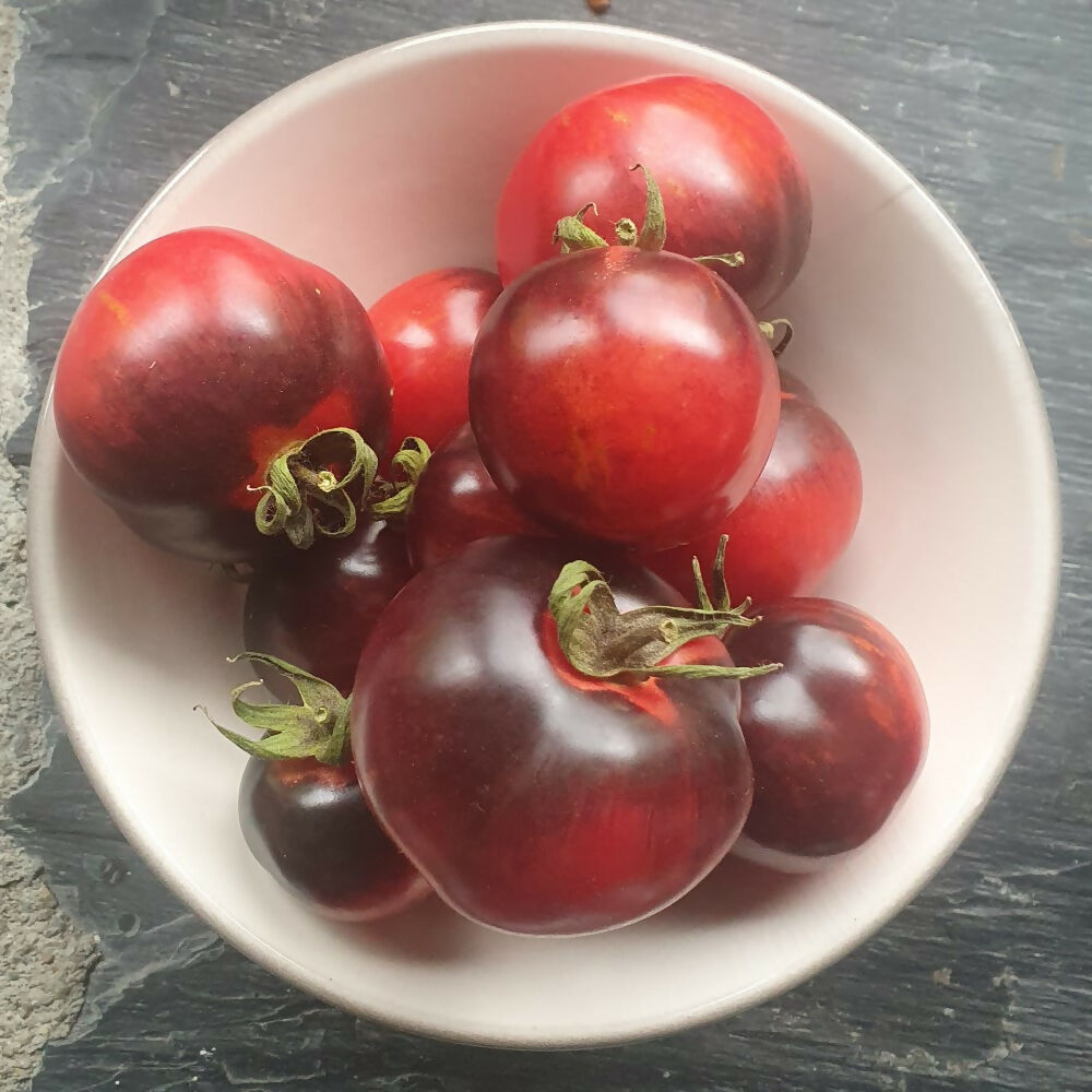 tomato-black-strawberry-seeds