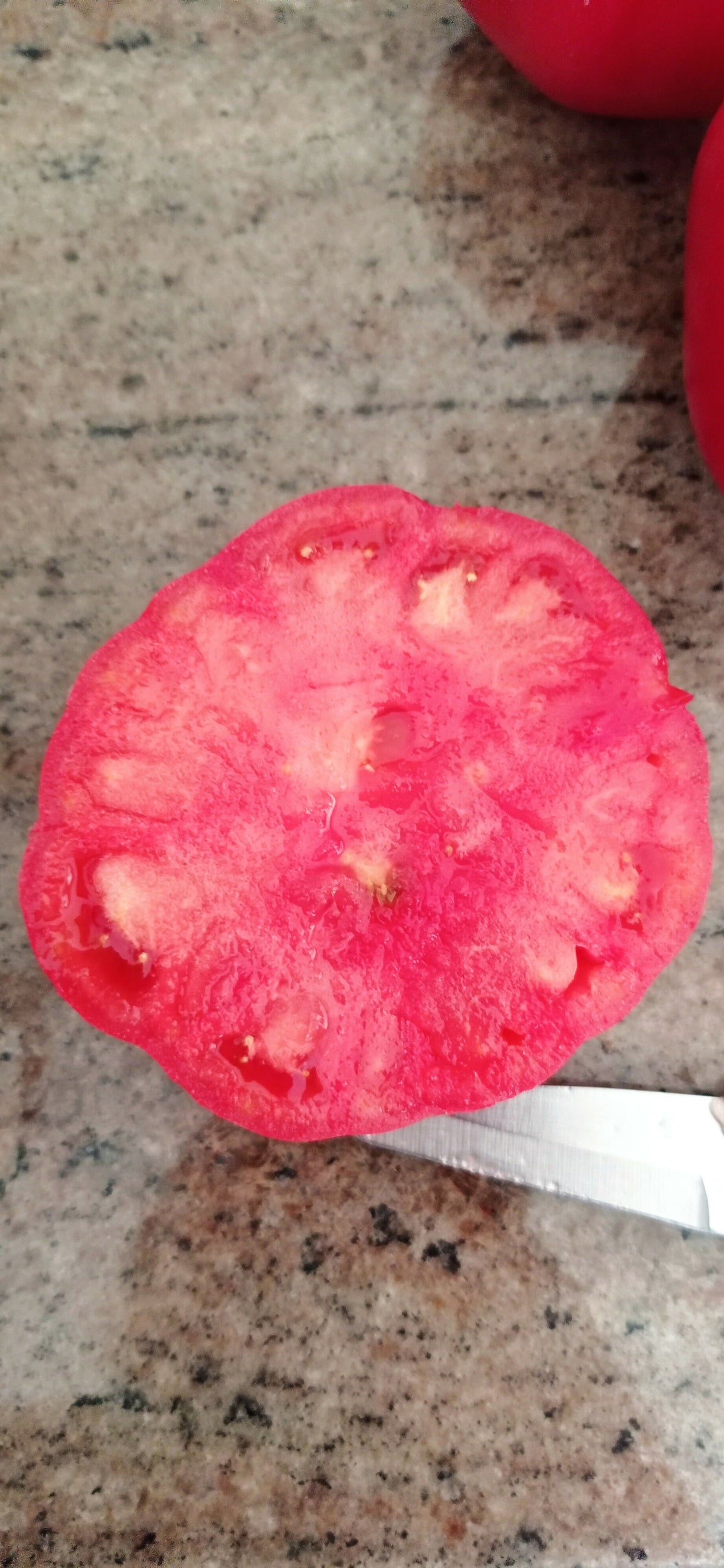 Tomato 'Olena Ukrainia'