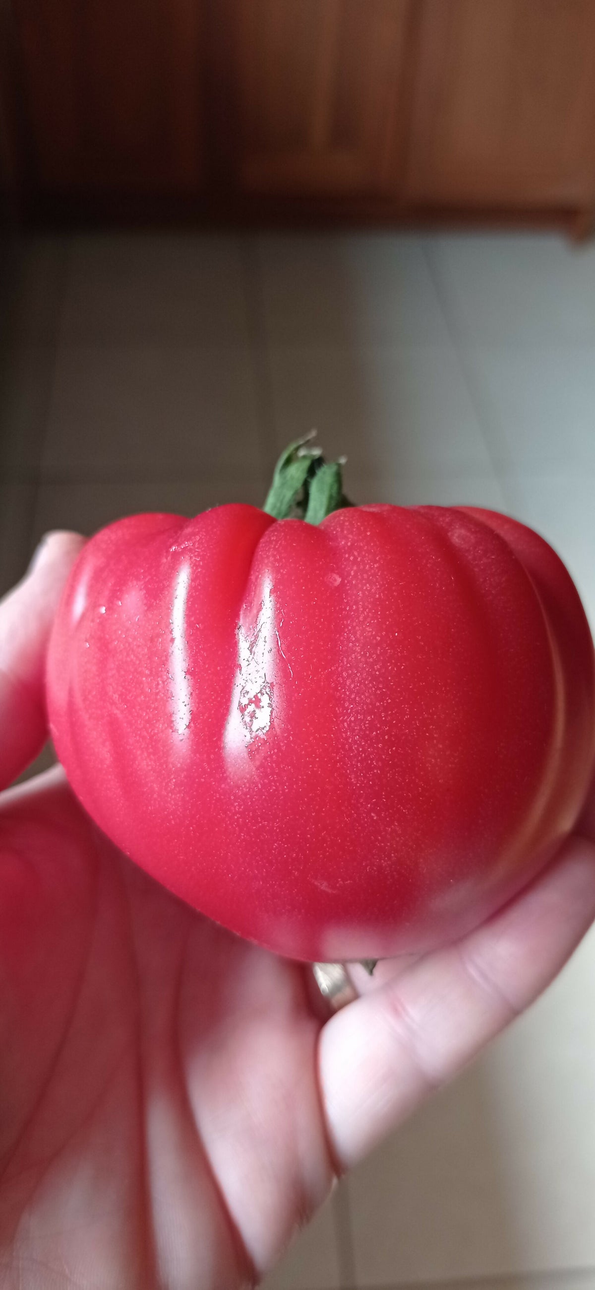 Tomato 'Olena Ukrainia'