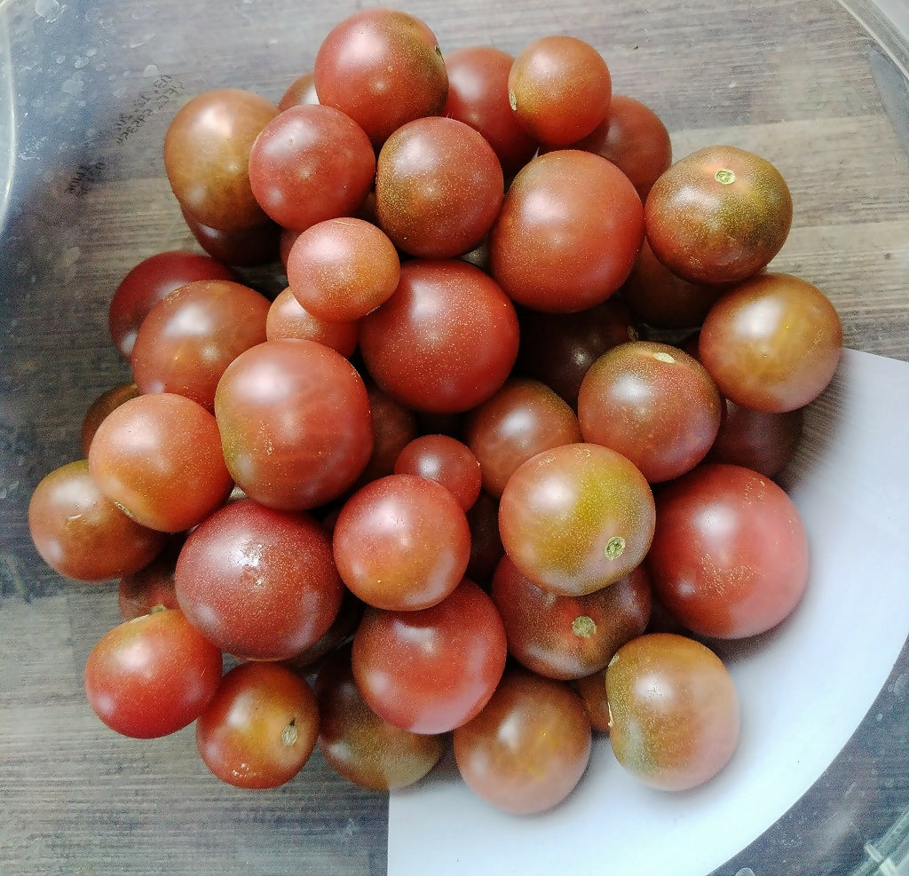 Chocolate Cherry Tomato