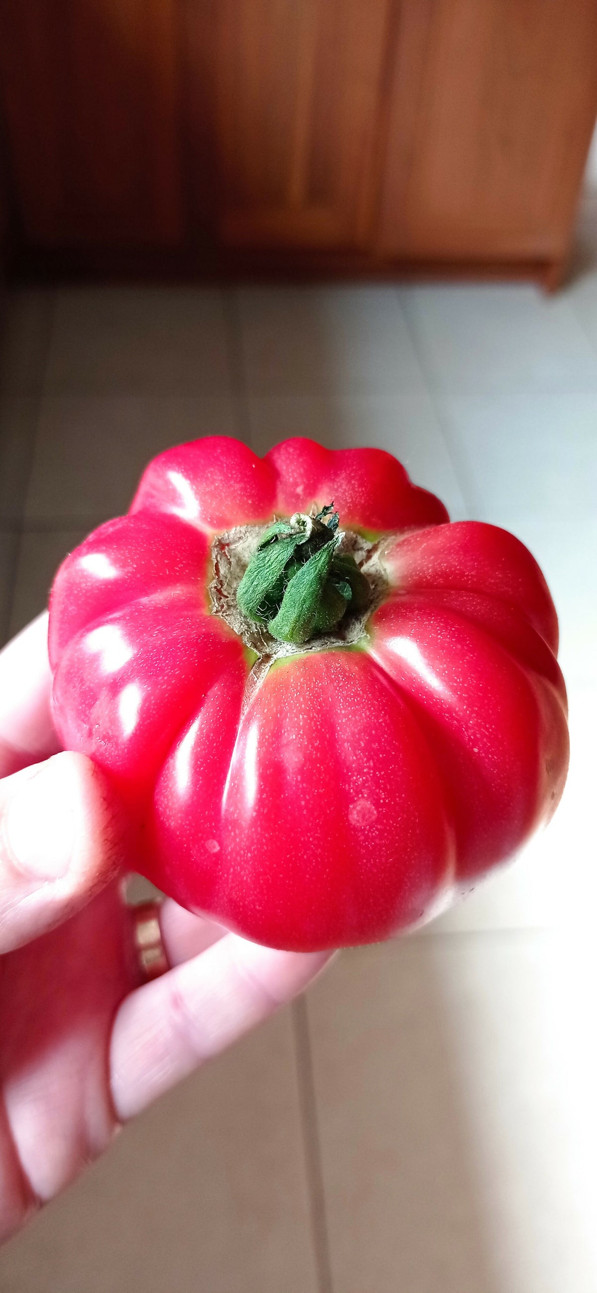 Tomato 'Olena Ukrainia'