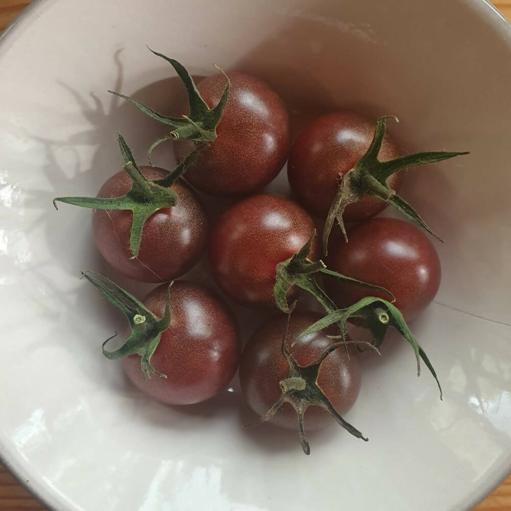 Tomato &#39;Black Cherry&#39;