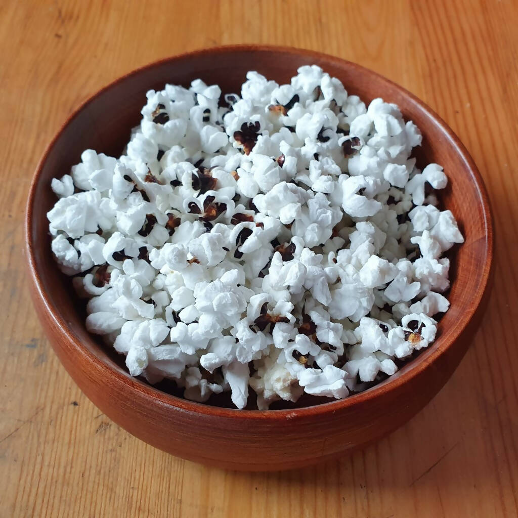 Popcorn &#39;Black Dakota&#39;