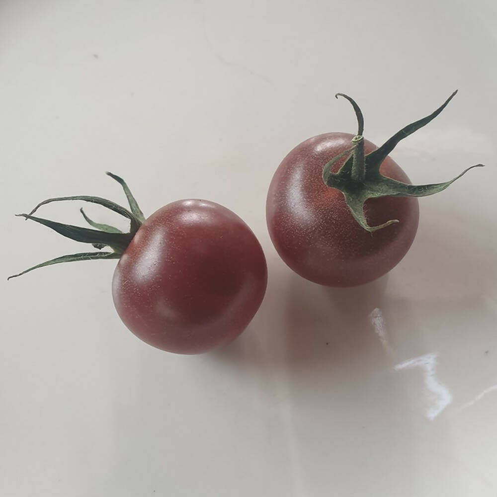 Tomato &#39;Black Cherry&#39;